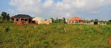 Mwesigwa B.