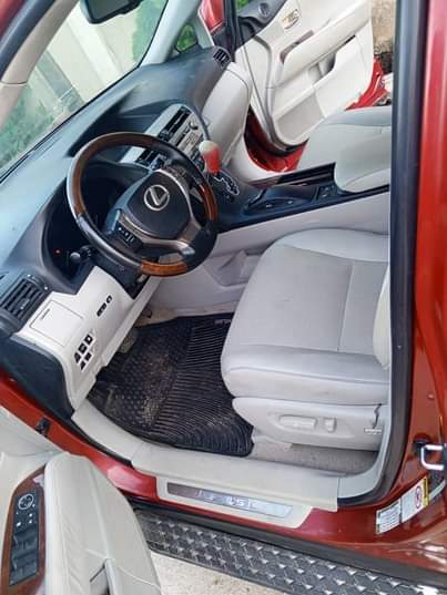 A picture of Luexs Rx350 2010 upgrade to 2015 very clear fish on