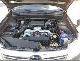 A picture of Subaru Forester