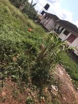 A picture of Land