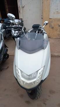 A picture of Scooter