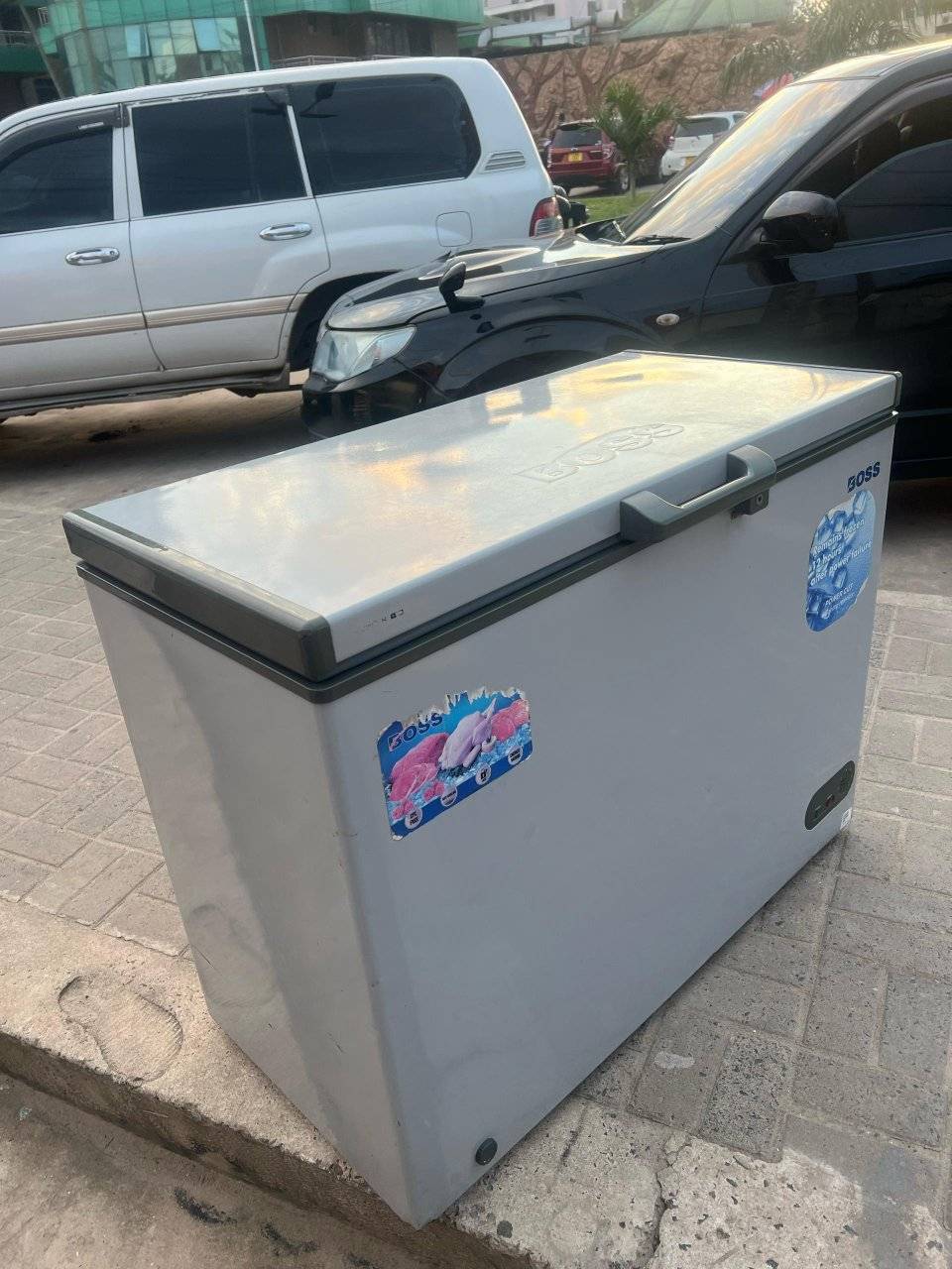 A picture of BOSS Freezer lita 250