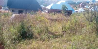 A picture of Kiwanja uyole