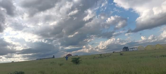 Nyambura N.