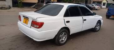 A picture of Carina Ti