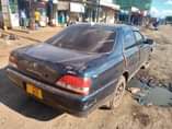 A picture of Cresta sokoni