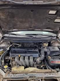 A picture of Toyota Corolla sports 2007