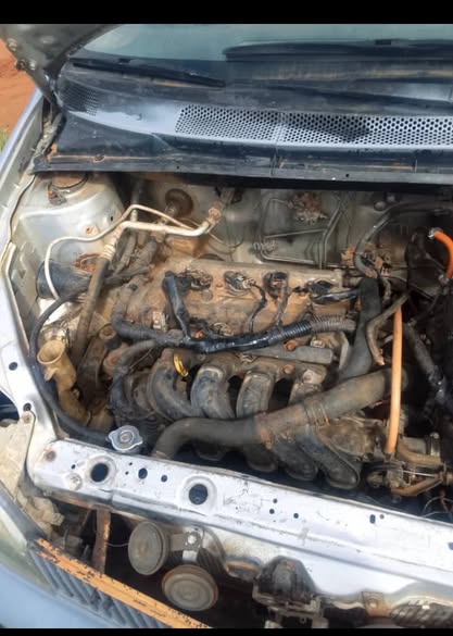 A picture of Toyota echo