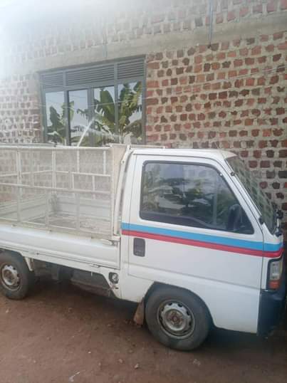 A picture of Nyongeza