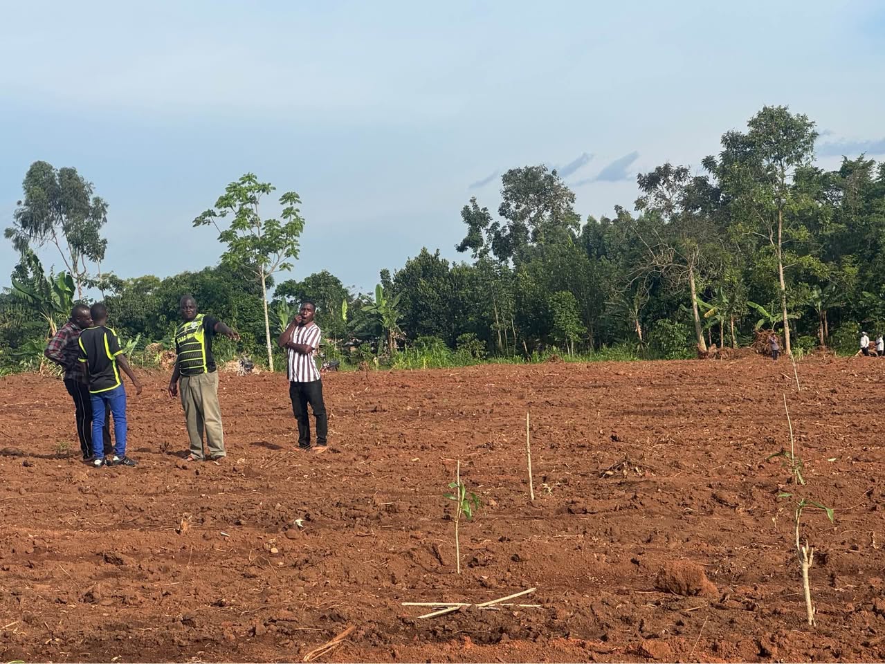 A picture of Kalagi estate 0702302042