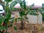 A picture of WELL FINISHED KA HOUSE FOR SALE 9 5m Located at