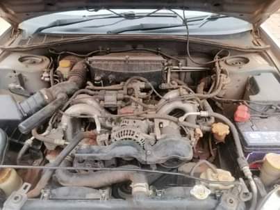 A picture of Impreza