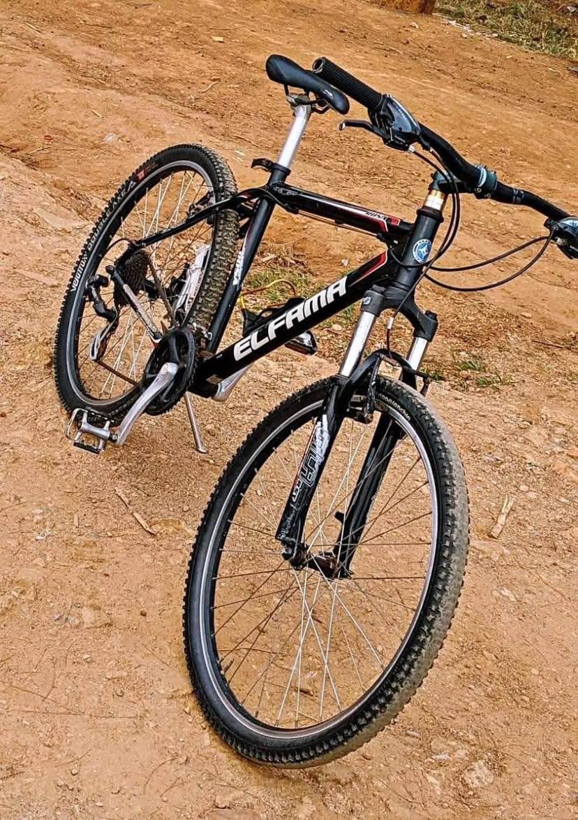 bikes
