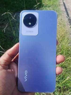 vivo phones