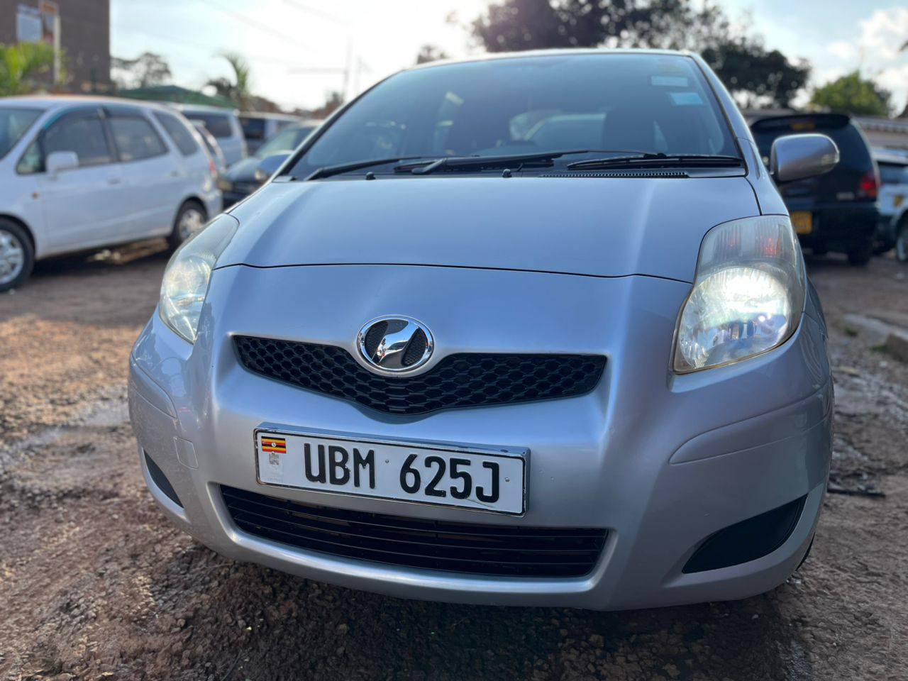 A picture of Vitz