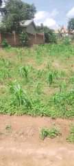 A picture of Anti MR PROPERTY again with another business plots for sales