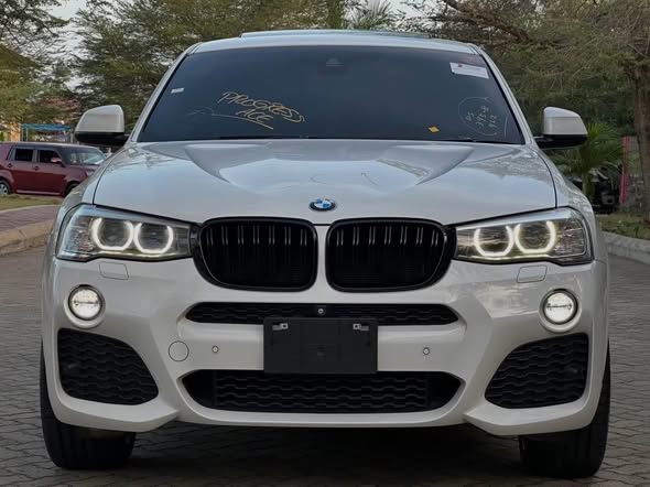 A picture of BMW X4 M SPORT