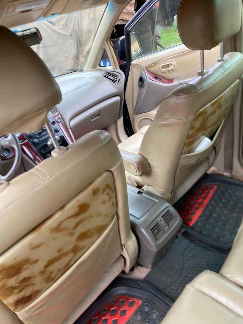 A picture of 2022 Lexus 300