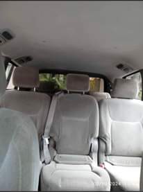 A picture of Foreign sienna