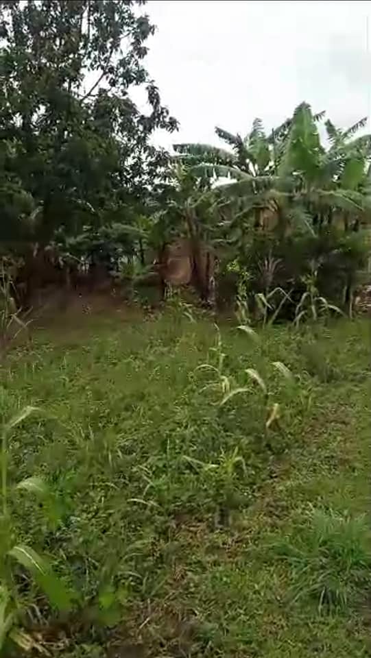 A picture of 10 tittled decimals at kigogwa near YMCA institute at shs