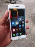A picture of IPhone 7 Plus