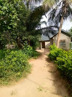 A picture of ENEO LINAUZWA MILION 12 LIPO CHANIKA