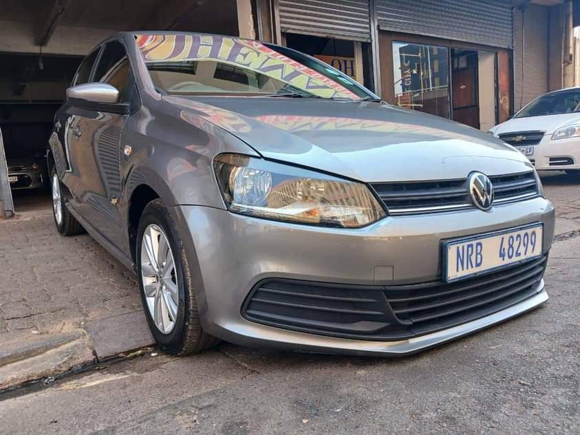 polo vivo