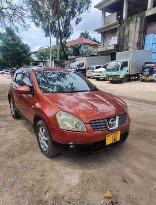 A picture of Nissan dualis