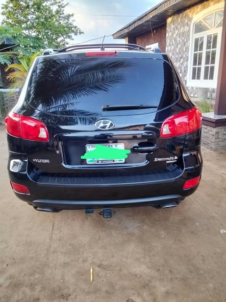A picture of 2007 Hyundai Santa Fe