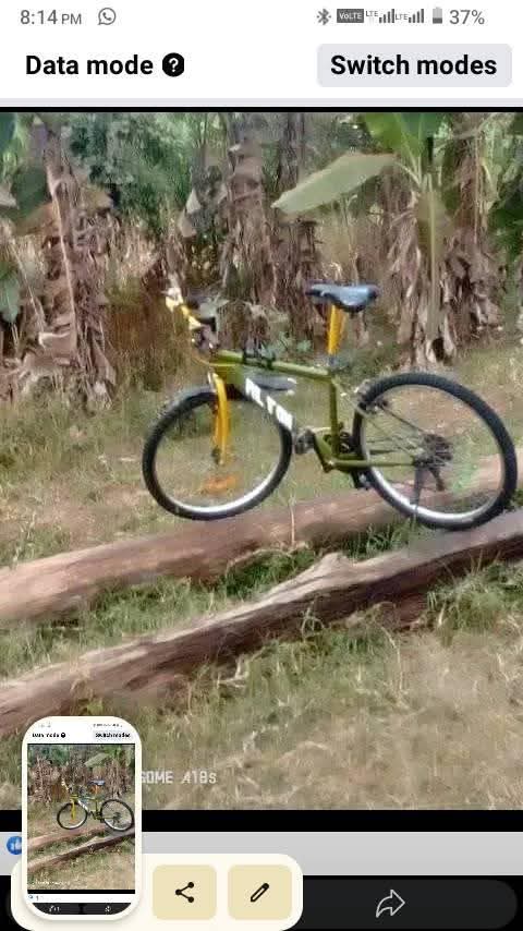 bikes