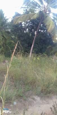 A picture of KIWANJA