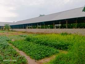 A picture of SHAMBA LA UFUGAJI LINAUZWA