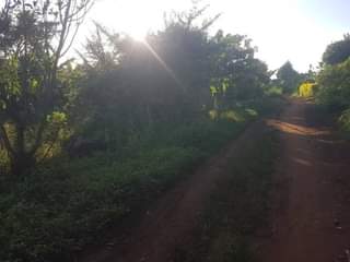 A picture of LAND