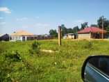 A picture of Plots