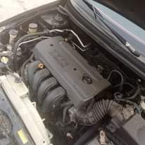 A picture of SWEET DEAL MOST GO TODAY BELGIUM GRADE FEW MONTHS USED