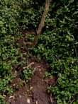 A picture of 140 acres of land for sale in mijera Nakasongola district