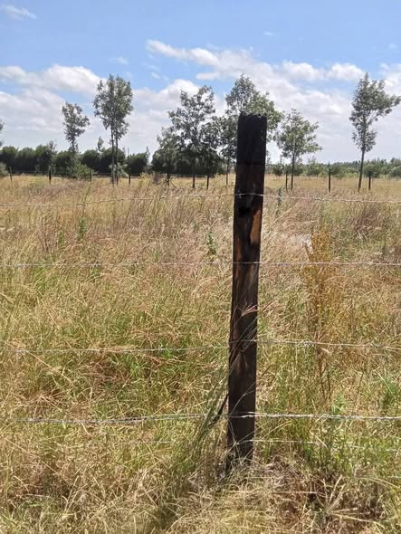 plots nanyuki