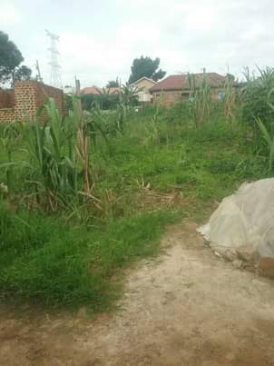 A picture of Plots for sale 3.5m