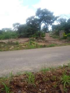 stands