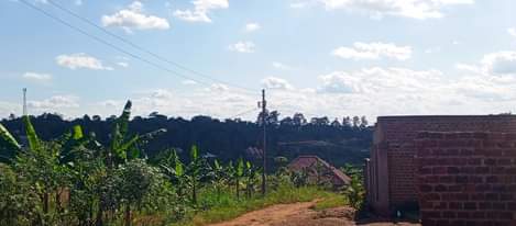 A picture of quick sale 3bedroomed flat house for sale located at Matugga