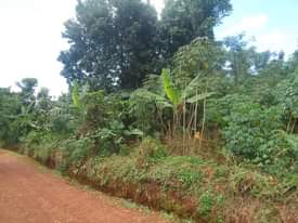 A picture of 90ft by 180ft for sale by owner in kisoga along