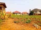 A picture of Busubuzi deal 50ft 100ft agreement plot on sale located at