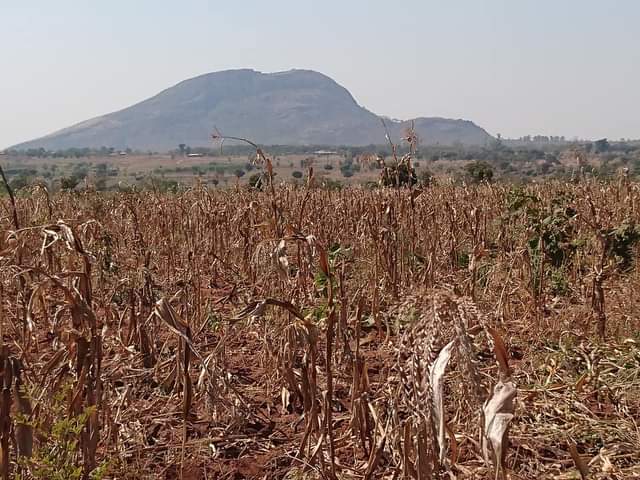 Malawi C.