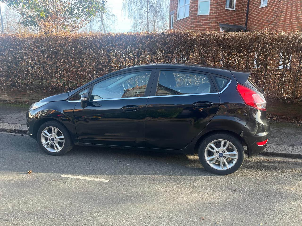 ford zetec