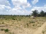 A picture of Viwanja vinauzwa chanika mvuti laki 7