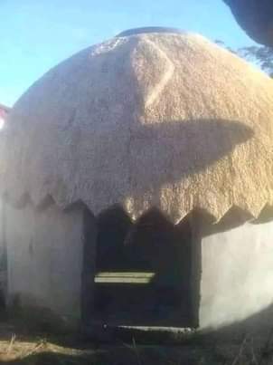 Dida G.