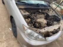 A picture of Camry big daddy