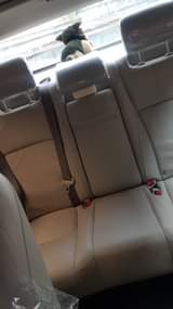 A picture of MR KEN AUTOS 2348038966089 Call Whatsapp