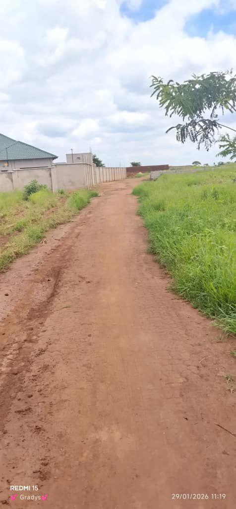 land