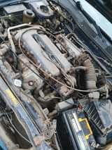 A picture of Nissan Primera 2000 model